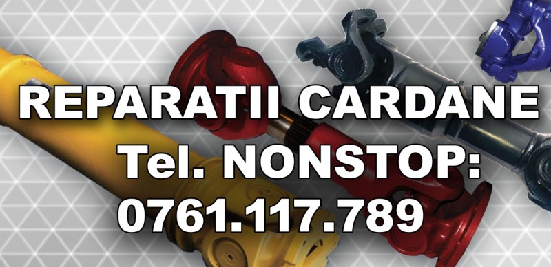 Reparatii cardane Mercedes Vito