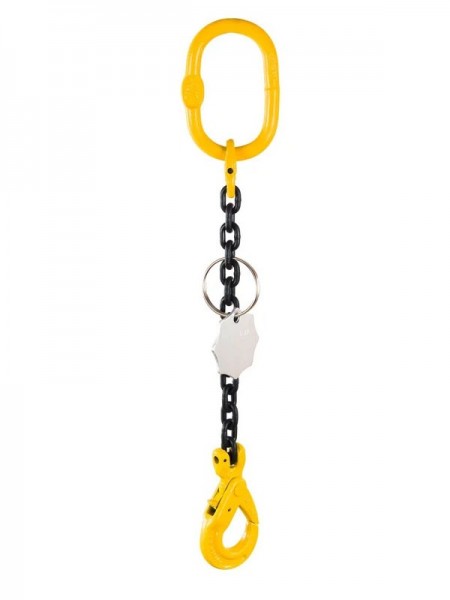 Dispozitiv lant de ridicare grad 80 macarale