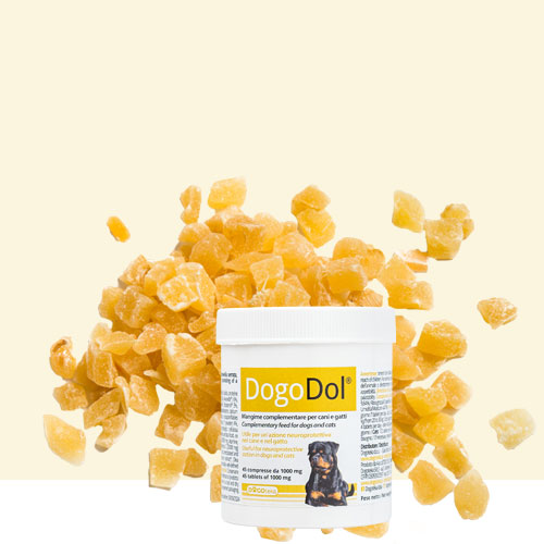 DOGOdol® , este un supliment complementar pentru caini si pisici 