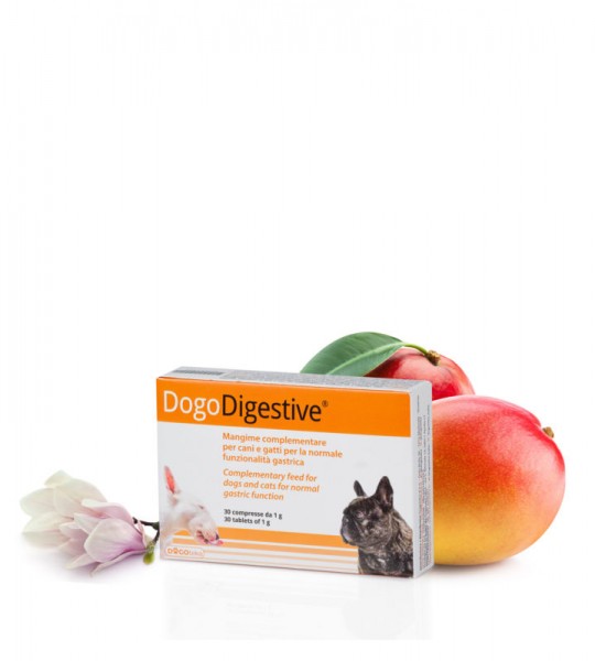 DOGO DIGESTIVE