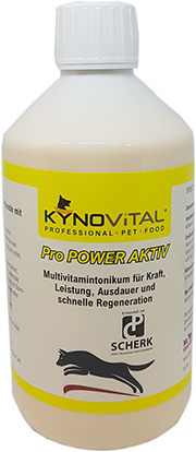 Complex profesional de multi-vitamine KynoVital Pro Power Activ  500 g pentru caini 