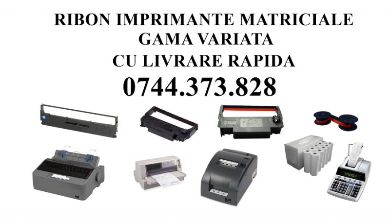 Riboane B2B imprimante matriciale cu livrare rapida.  
