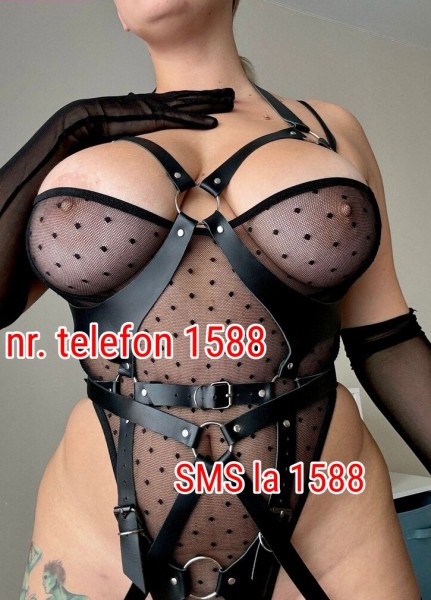 Stapana cu experienta si vocatie!