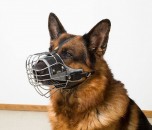 Botnita pentru caini din rasa Ciobanesc German