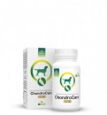Supliment pentru recuperare traume articulare caini CondroLine Care 