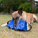 Perna de muscatura Triangle Euro Joe 